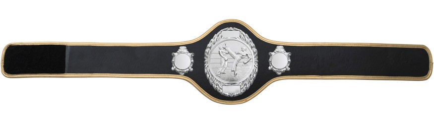 KICKBOXING CHAMPIONSHIP BELT-PRO286/S/KBOS-10+ COLOURS